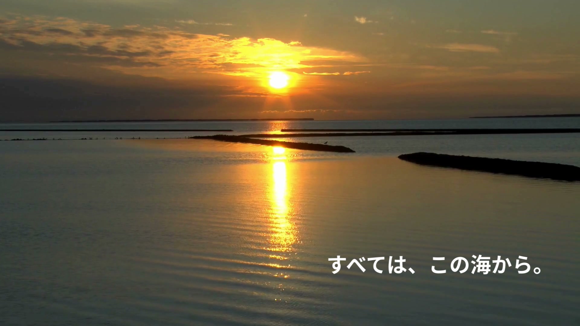 すべては、この海から。